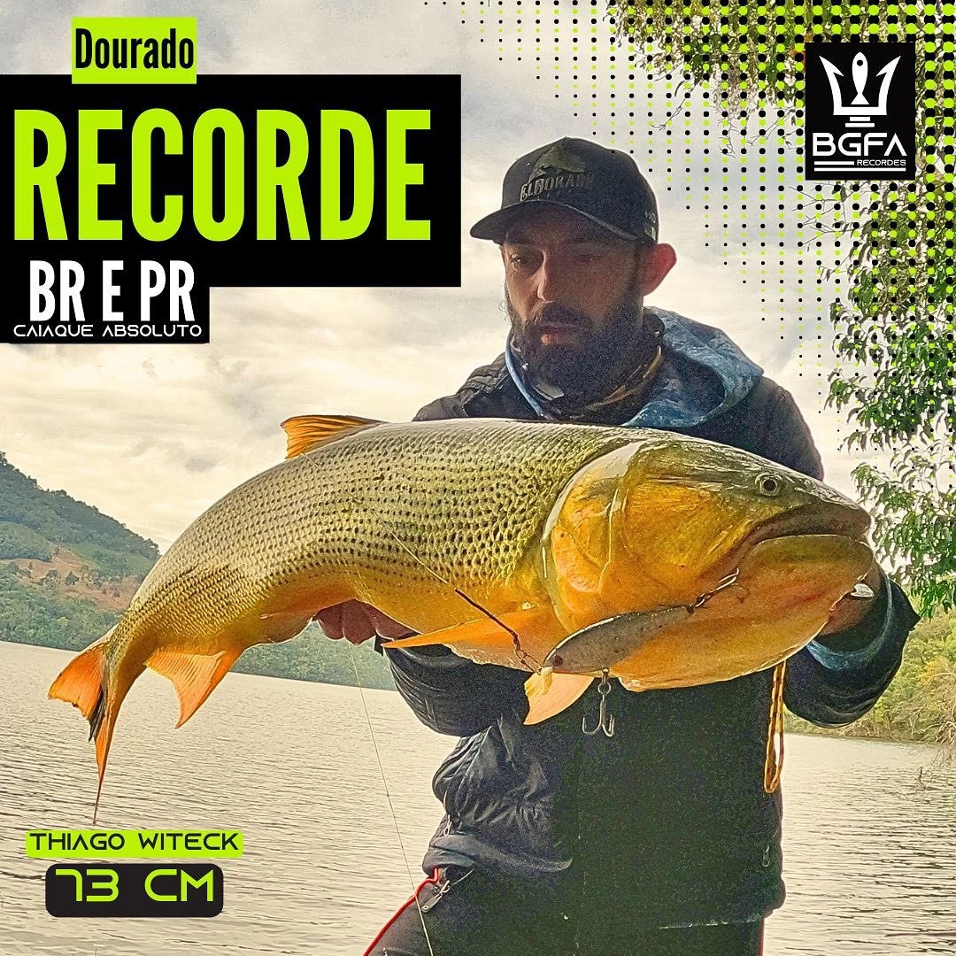 Vídeo 2 - Records