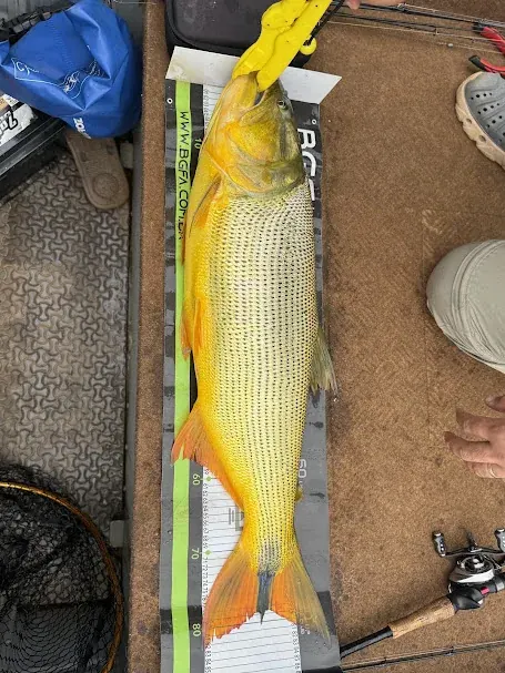 Galeria Eldorado Lake 29