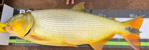 Galeria Eldorado Lake 30