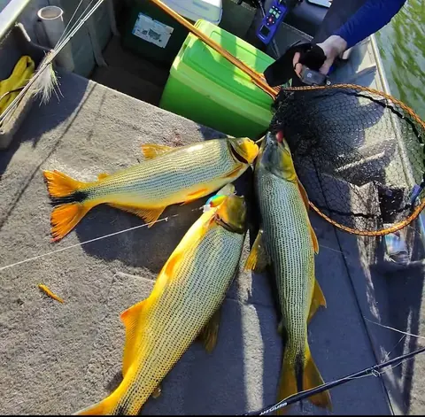 Galeria Eldorado Lake 8